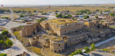 Harran’daki tarihi kalıntılar arasında beklenmedik misafir