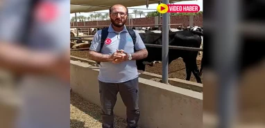 Bir Yol-Der’den Kurban Bayramı öncesi yardım seferberliği