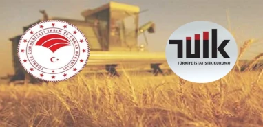 Şanlıurfa'da tarım sayımı başladı