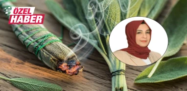 Şanlıurfalıların kabusu olan kan emicilere doğal çözüm! Aktardan çözüm önerisi