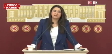 Vekil Ayan Şanlıurfa’daki felaketi TBMM’ye taşıdı! "50 milyon TL nerede?"
