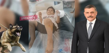 Şanlıurfa'da 8 yaşındaki çocuk dehşeti yaşamıştı: Bakanlık harekete geçti!