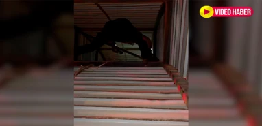 Şanlıurfa'da gece yarısı kedi kurtarma operasyonu