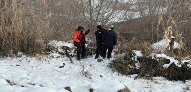 Şanlıurfa'nın komşu ilinde kaybolan kadından 4 gündür haber alınamıyor