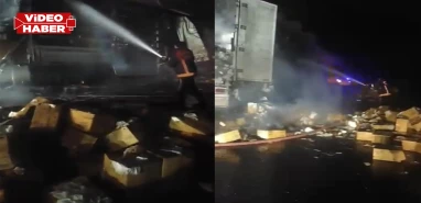Şanlıurfa'da peçete yüklü tır alevlere teslim oldu