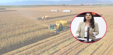 Şanlıurfa’da çiftçilerin elektrik isyanı Meclis’e taşındı: Zararlar TARSİM’e alınacak mı?