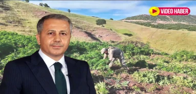 Bakan Yerlikaya duyurdu: Şanlıurfa'nın komşu ilinde dev operasyon