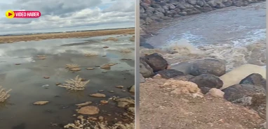 Şanlıurfa'daki yağışlar baraj ve göllere can suyu oldu!