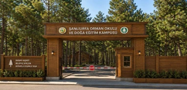 Vali Şıldak 3 müjdeyi art arda verdi: Şanlıurfa’nın kalbinde doğa seferberliği
