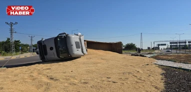 Şanlıurfa’dan Hatay’a giden tır devrildi: Sürücü yaralandı, tonlarca arpa yola saçıldı