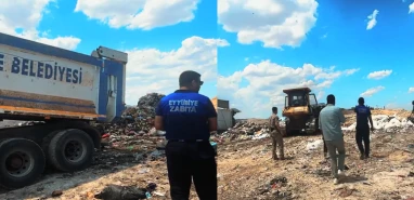 Şanlıurfa’da jandarma ve zabıtadan ortak operasyon: Yüzbinlerce kaçak ürün...