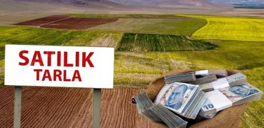 Milli Emlak 30-35 bin TL'ye  arsa satacak: Aralarında Şanlıurfa da var