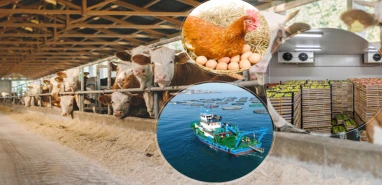 Bakan Yumaklı duyurdu: 50 milyon euroluk yeni destek çağrısı yayınlandı