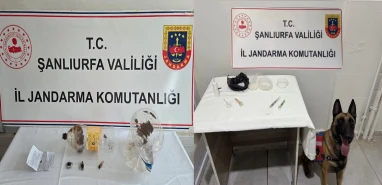 Şanlıurfa'da jandarmadan narkotik operasyonu: Çok sayıda madde ele geçirildi