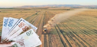 Bakan Yumaklı Şanlıurfa'daki çiftçilere müjdeyi duyurdu!