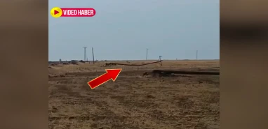 Şanlıurfa'yı fırtına vurdu: Direkler devrildi