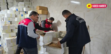 Şanlıurfa Şanlıurfa olalı böyle skandal görmedi! Böcekler cirit atıyor