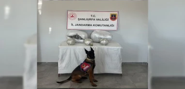 Şanlıurfa’da kilolarca zehir ele geçirildi! 1 gözaltı