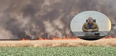 Şanlıurfa'da eski belediye başkanının tarlası yandı