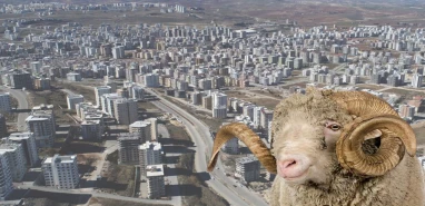 Karaköprü’de kurban kesimi sadece bu alanlarda yapılacak! İşte tam liste...