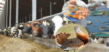 Bakan Yumaklı açıkladı: Tarımsal girişime 188 milyon avro hibe desteği