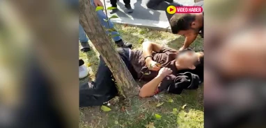 Şanlıurfa'da otomobil yayaya çarptı