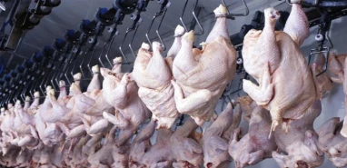 2 bin tondan fazla tavuk eti geri çağrıldı! İçlerinden metal çıktı