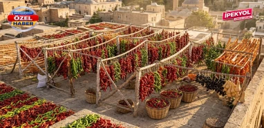 Şanlıurfa'da kavurucu sıcaklar en çok onlara yaradı! Balkonlar, damlar yine renk cümbüşü...
