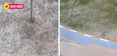 Bir anda mermi gibi yağdı! Şanlıurfa dolu yağışıyla beyaza büründü