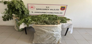 Birecik’te zehir tacirlerine operasyon! 3 gözaltı