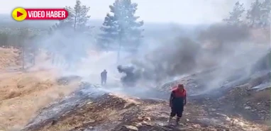 Şanlıurfa’da dikkatsizlik felakete yol açtı: Orman ve GES alanında korkutan yangın