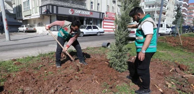 Haliliye'de "yeşil" dönüşüm: Bu yaz çok daha farklı olacak!