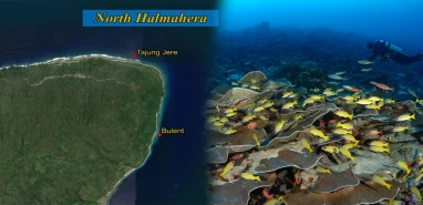 Şanlıurfalı fotoğrafçının adı okyanusta ölümsüzleşti!