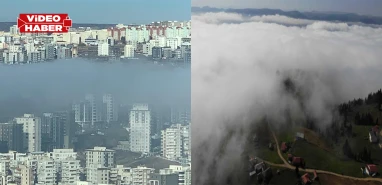 Burası Karadeniz değil Şanlıurfa! Gören hayran kaldı