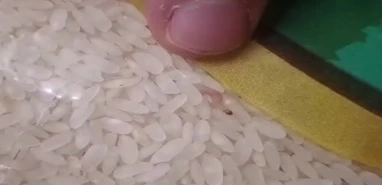 Urfa’da bu kadar da olmaz dedirtecek iğrenç görüntü!