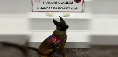 Şanlıurfa’da narkotik köpekleri zehri ortaya çıkardı!