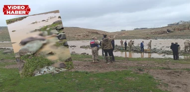 Şanlıurfa'da korkunç olay: Derede erkek cesedi bulundu!