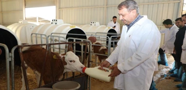 Ceylanpınar'da bir dünya harikası