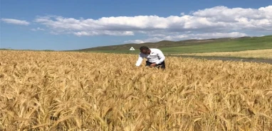 Çiftçilerin kazancını artıracak bilgiler