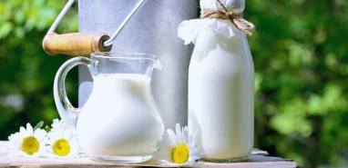 Çiğ süt üreticisine destek müjdesi