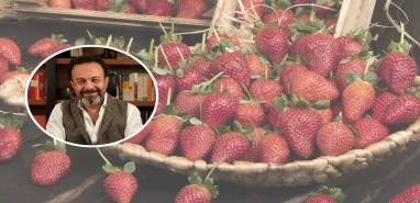 Uzmanından tarım zehri uyarısı! “Üretenin bile yemediğini biz tüketiyor”