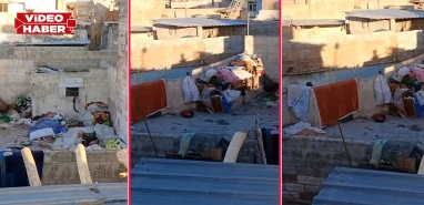 Şanlıurfa'da tüm mahalle aynı kokudan şikayetçi! Ev değil çöplük
