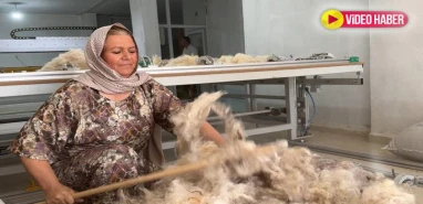 Şanlıurfa'da kendi geri dönüşümünü kurdu: Çöpe atılan yünleri yorgan yastığa dönüştürüyor
