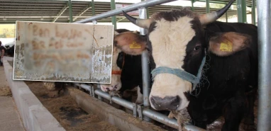 Şanlıurfa bu olayı konuşuyor: Hırsızın başına ne geldi de bu notu yazdı?