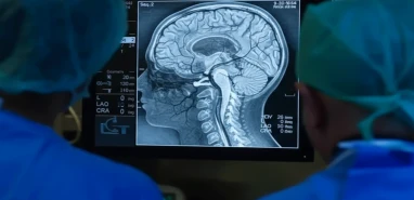 Bu kez ‘deli dana’ paniği! 2 vaka tespit edildi, tedavisi yok