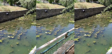 Şanlıurfa’daki dereden su değil pislik akıyor!