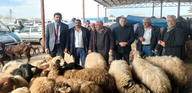 Kaplan: Urfa’nın kurtuluş reçetesi DEVA’dır