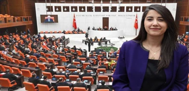 Şanlıurfalı vekilden hemofili hastaları için acil düzenleme çağrısı!