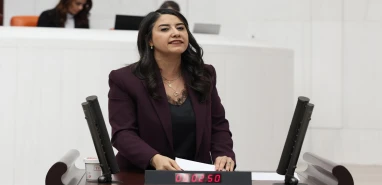 Şanlıurfalı vekil kadın cinayetlerini Meclis’e taşıdı! "Mevcut yasalar etkin uygulanmalı "