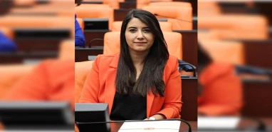 Şanlıurfa’daki hastane sorunları Meclis'e taşındı: "Hastalar yerde bekliyor"